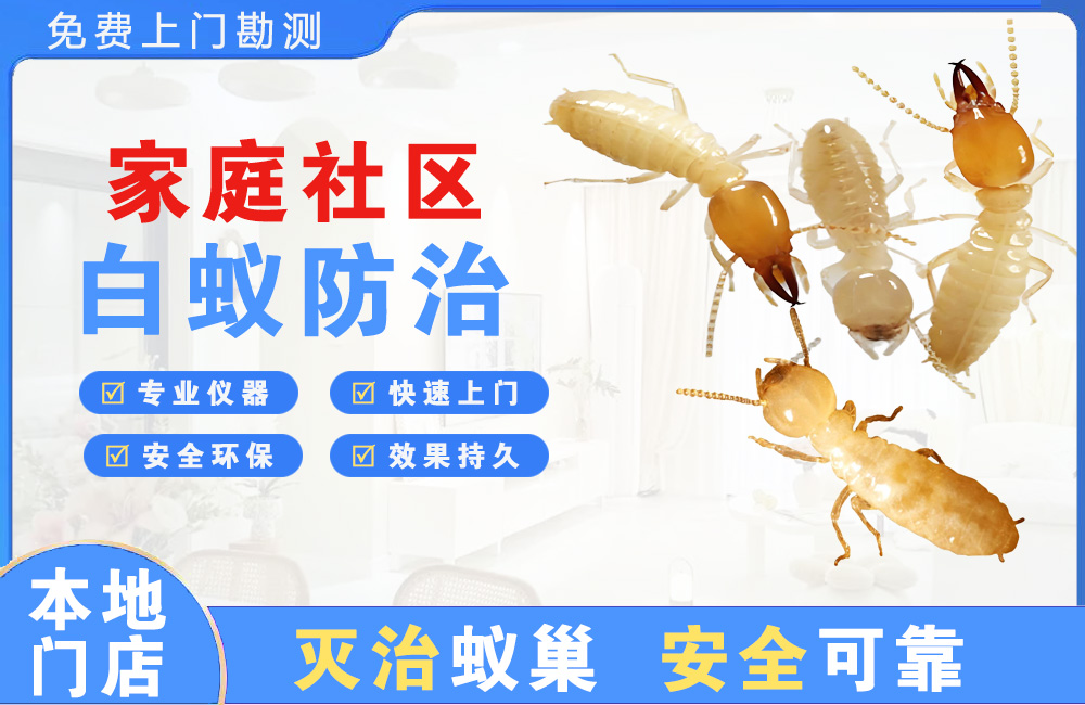 宝应县家庭社区白蚁防治