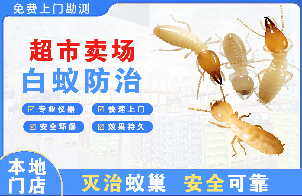 宝应县超市卖场白蚁防治