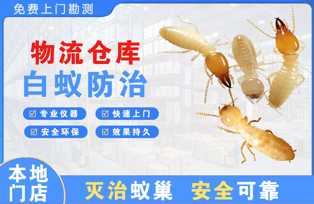 宝应县物流仓库白蚁防治