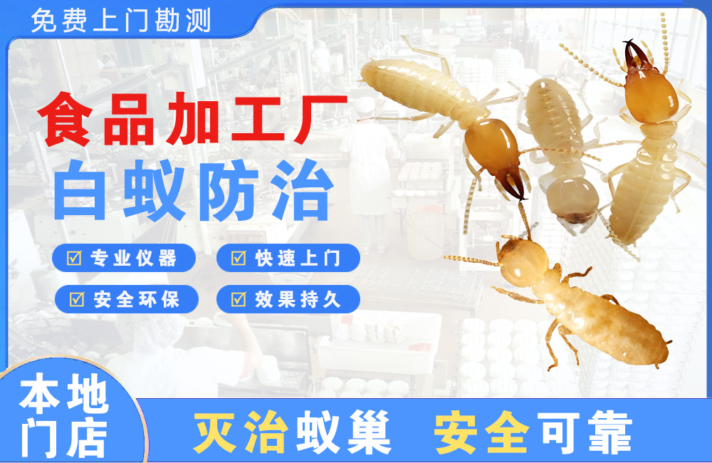 宝应县食品加工厂白蚁防治