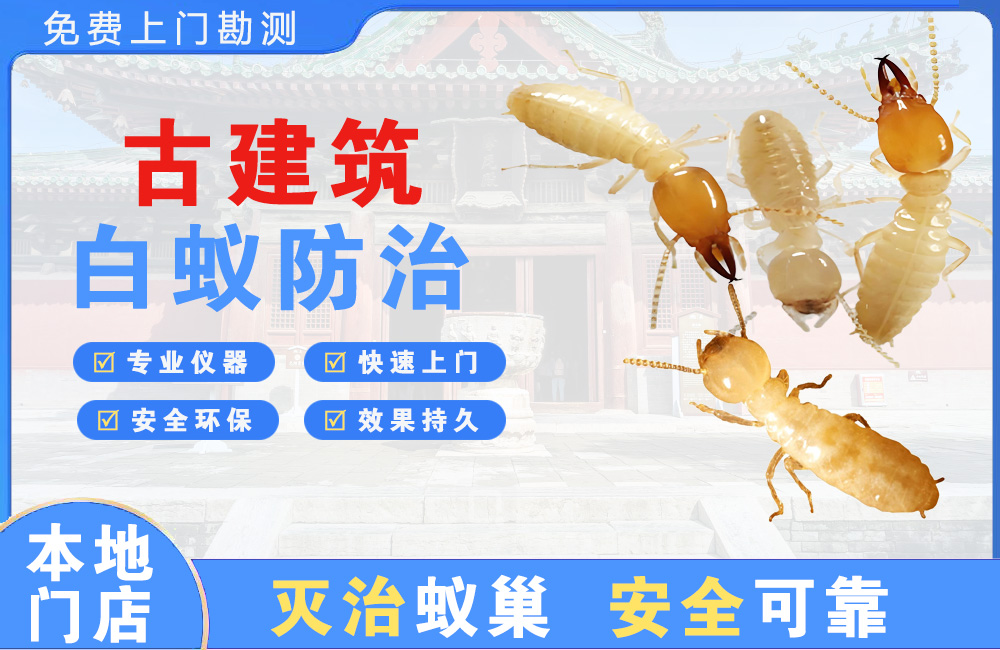 宝应县古建筑白蚁防治
