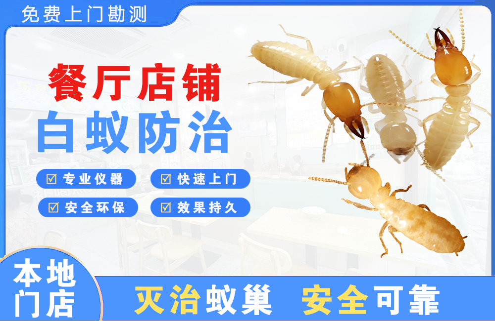 宝应县餐厅店铺白蚁防治